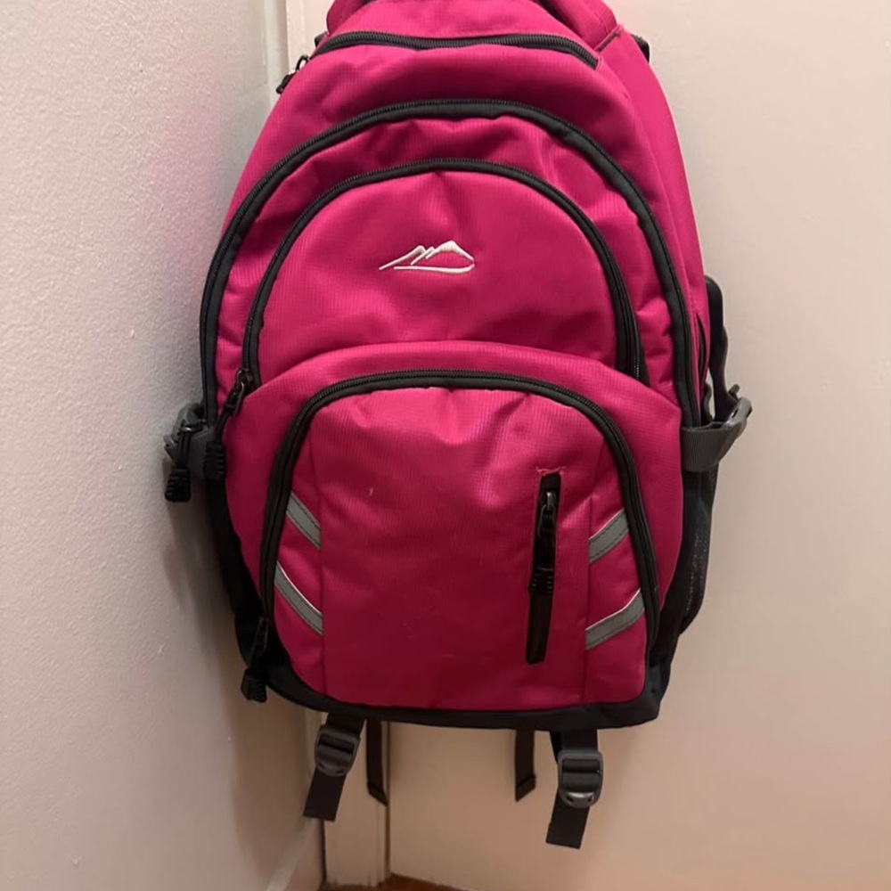 Pink Backpack with Black Accents - Picture 1 of 10